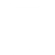 Phone icoon